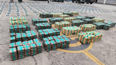 Fanb incauta más de mil 800 panelas de droga en Sucre