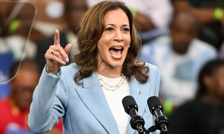 Kamala Harris y sus posibles candidatos a la vicepresidencia