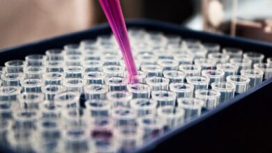 EE.UU. sacó de Ucrania 16 mil muestras biológicas, denuncia Rusia