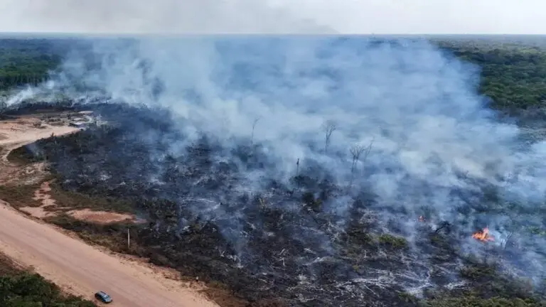 Incendios en Brasil