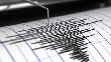 Terremoto de magnitud 7.1 estremece Japón
