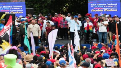 Gran Marcha por la Paz