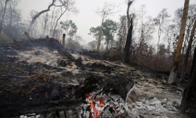 Bolivia logra reducir incendios forestales