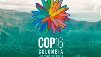 Colombia izó bandera de ONU en Zona Azul para celebración de COP16