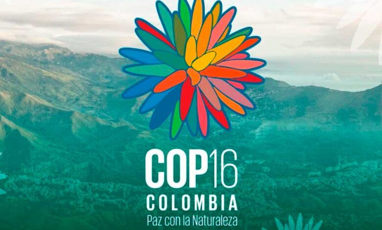 Colombia izó bandera de ONU en Zona Azul para celebración de COP16