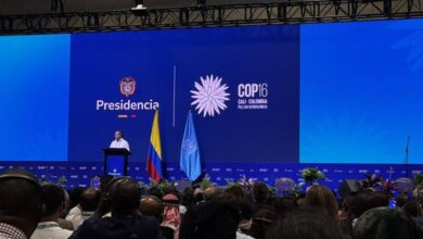 Cumbre de Naciones Unidas sobre Biodiversidad (COP16), inicia en Cali, Colombia