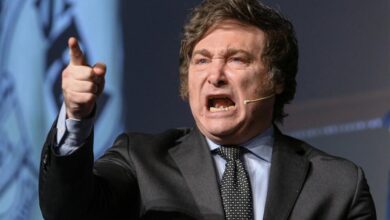Senador pide juicio político contra Milei por mal desempeño de sus funciones