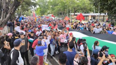 venezolanos-consignan-carta-ante-la-onu-para-exigir-cese-del-genocidio-en-palestina-fotos