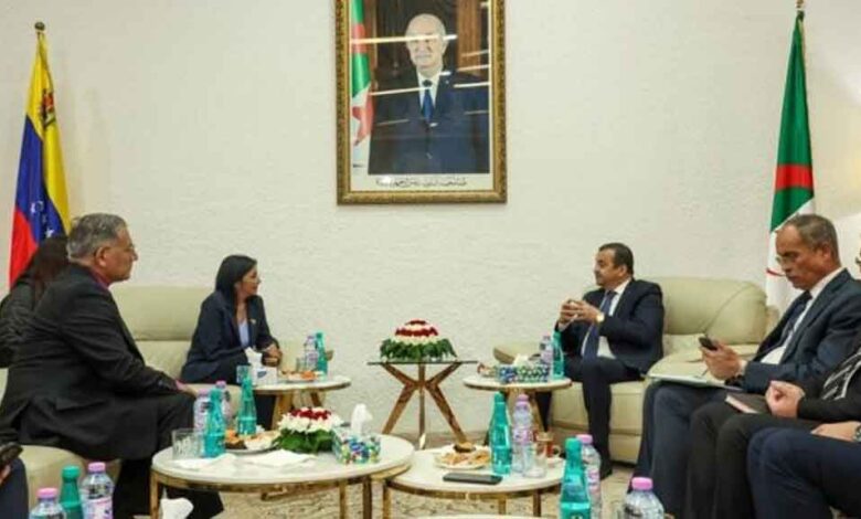 Vicepresidenta ejecutiva de Venezuela finalizó fructífera visita a Argelia