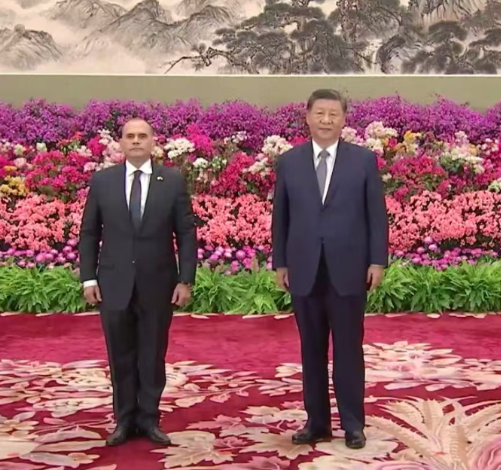 Remigio Ceballos presentó Cartas Credenciales al presidente Xi Jinping