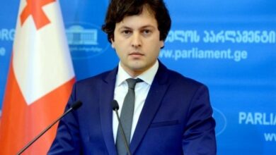 Primer ministro de Georgia calificó de fracaso intento de crear un Maidán