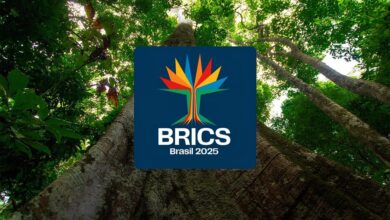 Brasil asume por cuarta vez la presidencia del Brics