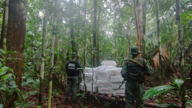 La Fanb incauta más de 5 mil kilogramos de droga al sur de Venezuela