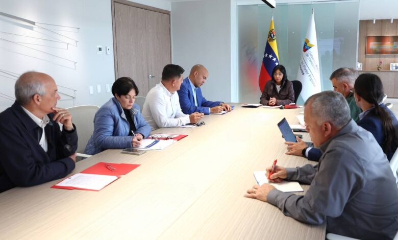 Vicepresidentes Sectoriales evalúan plan para fortalecer gobierno comunal