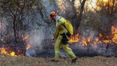 Brasil declara emergencia ambiental preventiva debido a incendios