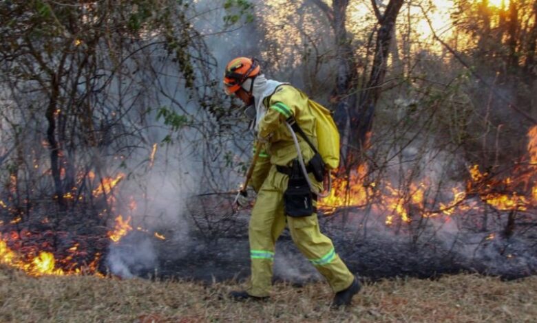 Brasil declara emergencia ambiental preventiva debido a incendios
