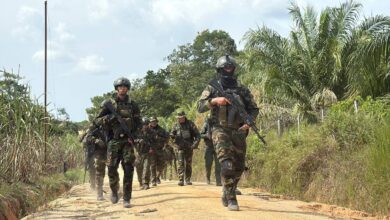 Operación Binacional Relámpago del Catatumbo destruye tres campamentos paramilitares en Zulia