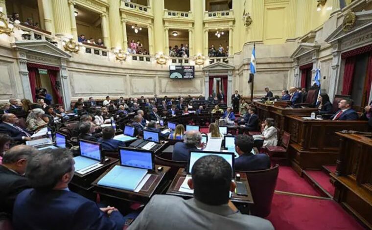 Senado argentino suspende primarias obligatorias para legislativas de octubre