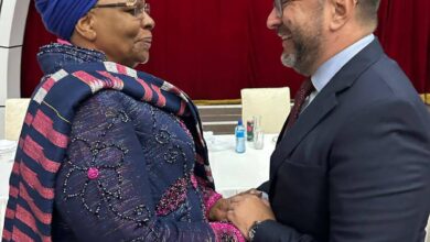 Canciller Yván Gil se reúne con presidenta de Namibia