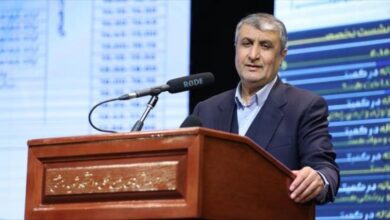 Irán destaca la naturaleza pacífica de sus actividades nucleares