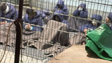 Más de nueve mil 500 palestinos encerrados en prisiones israelíes