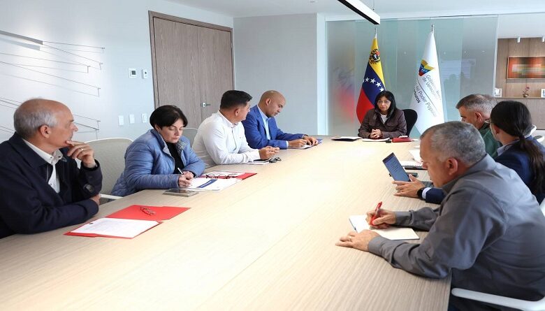 Vicepresidentes venezolanos supervisan instalación del Gobierno Popular y Comunal