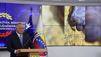 Operación Relámpago incautó más de 9 toneladas de cocaína vinculadas a ultraderecha venezolana
