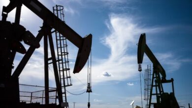 OPEP+ confirma que aumentará el bombeo gradualmente a partir de abril