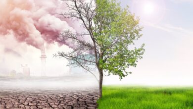 Exhorta Sudáfrica a acción global para enfrentar desafíos climáticos