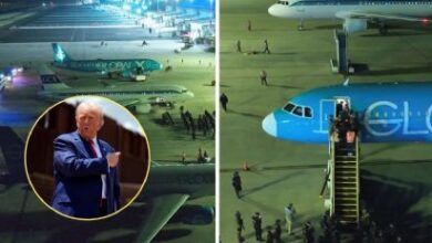 Pese a prohibición de juez, Trump envía deportados a El Salvador