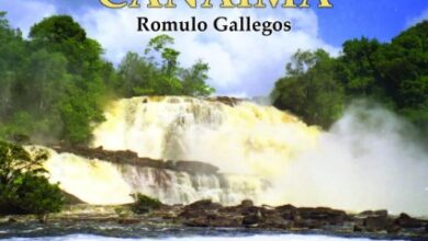 Opinión/ Canaima