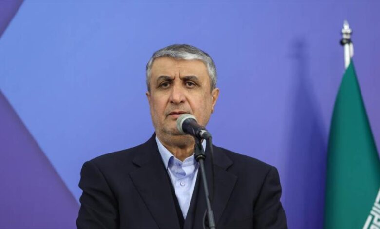 Irán presentará nueve logros nucleares en los próximos días