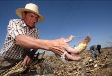 Presidente Maduro reiteró compromiso para incrementar producción de alimentos
