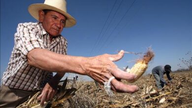 Presidente Maduro reiteró compromiso para incrementar producción de alimentos
