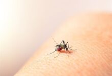 Emergencia sanitaria en Colombia por brote de Fiebre Amarilla