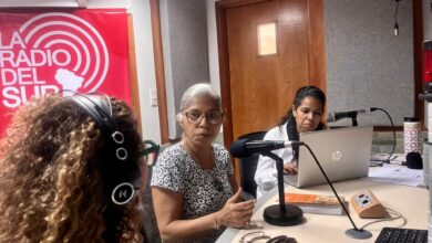 Bolívar Nuestro analizó el papel oculto de las clases populares en la independencia