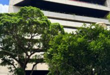 BDT alcanza séptimo lugar como entidad con mayores ingresos en Ranking Bancario Nacional