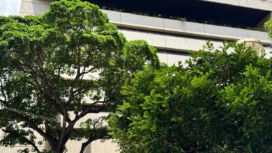 BDT alcanza séptimo lugar como entidad con mayores ingresos en Ranking Bancario Nacional