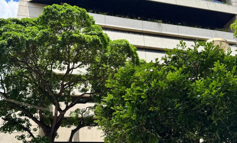 BDT alcanza séptimo lugar como entidad con mayores ingresos en Ranking Bancario Nacional