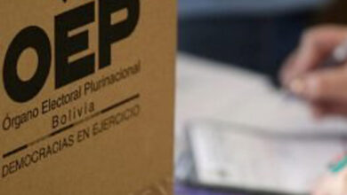 Vocal del TSE denuncia sabotaje a proceso electoral de Bolivia