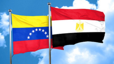 Diálogo entre Venezuela y Egipto fortalece relaciones culturales y gasífera