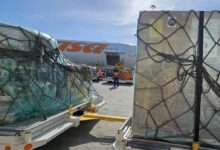 Venezuela recibió 700 mil dosis de vacunas BCG procedentes de Irán