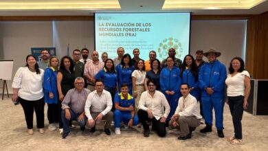 Venezuela refuerza monitoreo forestal con tecnología satelital
