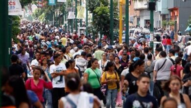 Hinterlaces: Más del 50% de los venezolanos aseguran que votarán el 25-M