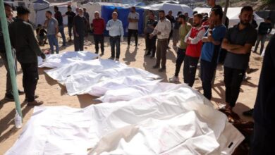 Estudio revela que Genocidio israelí en Gaza ha dejado casi 100 mil palestinos muertos