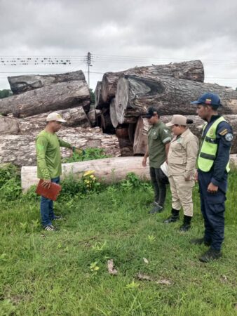 Ministerio de Ecosocialismo verifica correcto funcionamiento del sector forestal en Venezuela