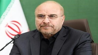 Llega a Venezuela el presidente de la Asamblea Consultiva Islámica de Irán
