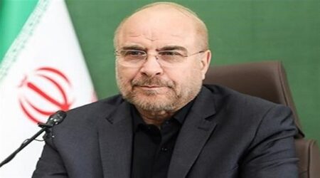 Llega a Venezuela el presidente de la Asamblea Consultiva Islámica de Irán