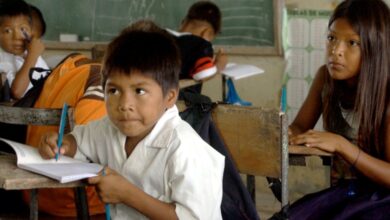 Unesco evaluará calidad de la enseñanza en América Latina