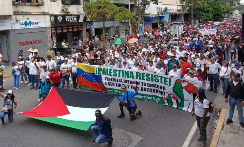 Delegación venezolana participará en Marcha Global en apoyo a Palestina